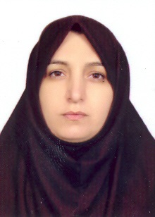 HABIBE SADEGHI